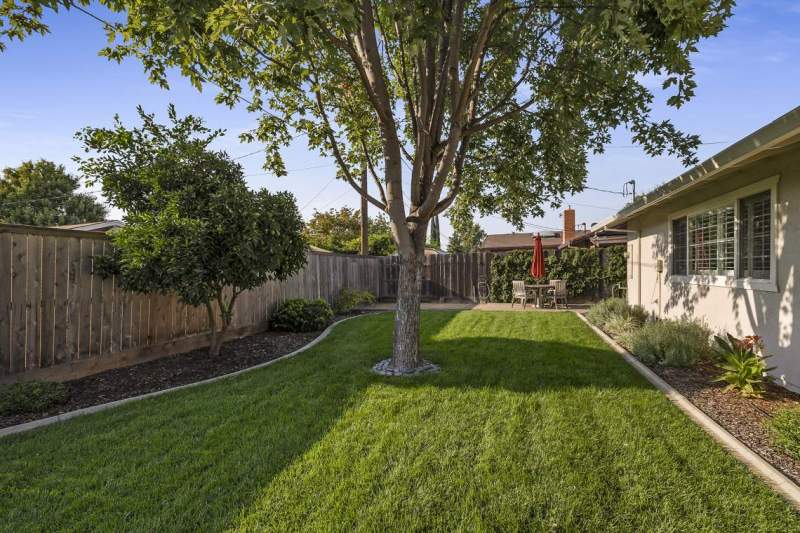 Large-lawn-and-shade