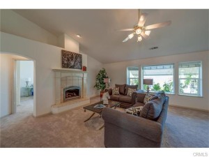 Living room - fireplace