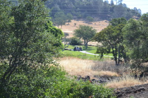 Canyon Oaks Golf Course action