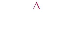 Platinum Partners Real Estate Logo